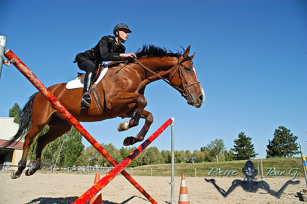 photographe-equitation.jpg